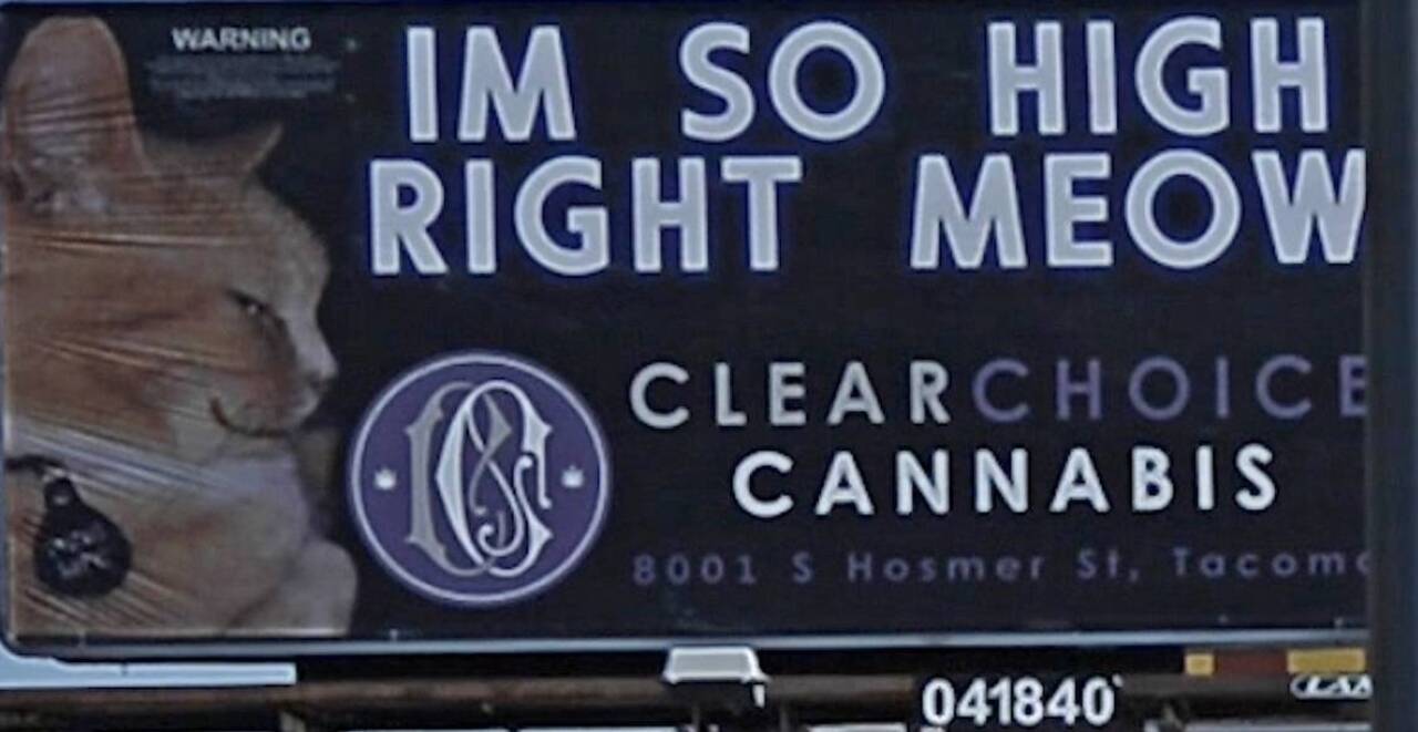 ‘I'm so high right meow?’ State lawmakers don't think pot billboards should be appealing to kids