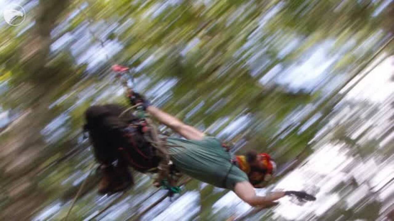 Kansas arborists work, play high in trees
