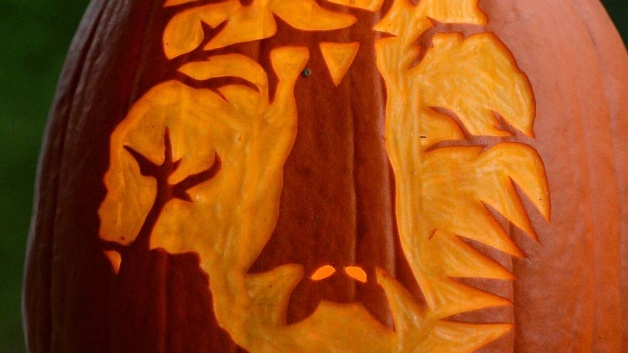 Want to be the best pumpkin carver around? Just follow these tips