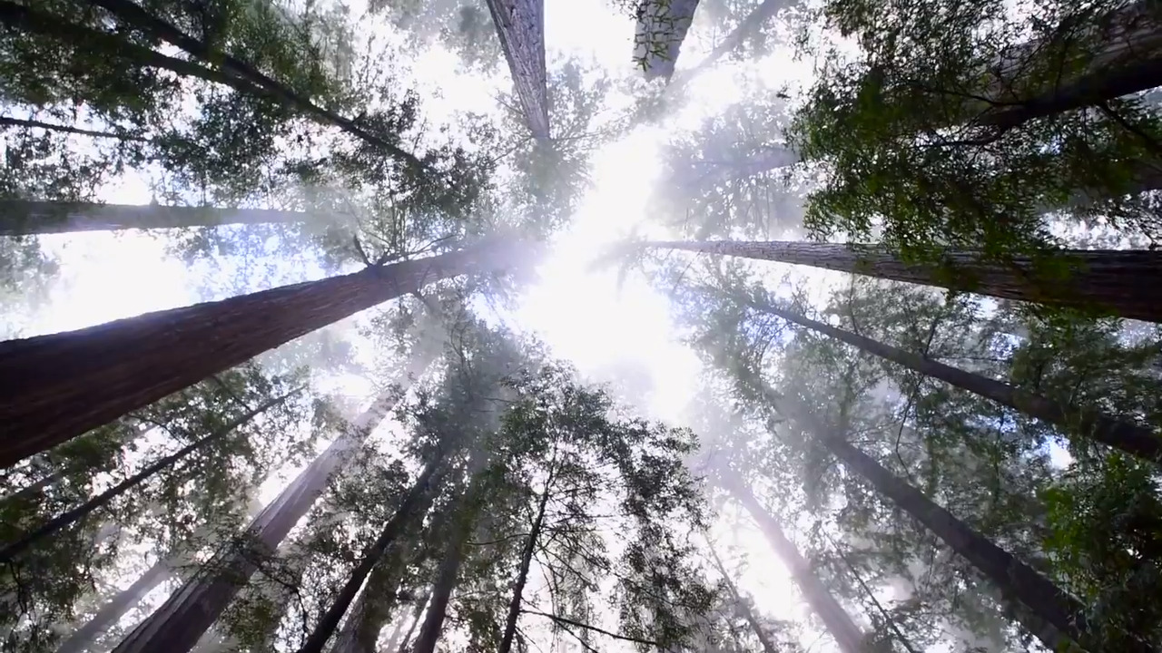 Watch a preview of new documentary ‘Where There Once Was Water’