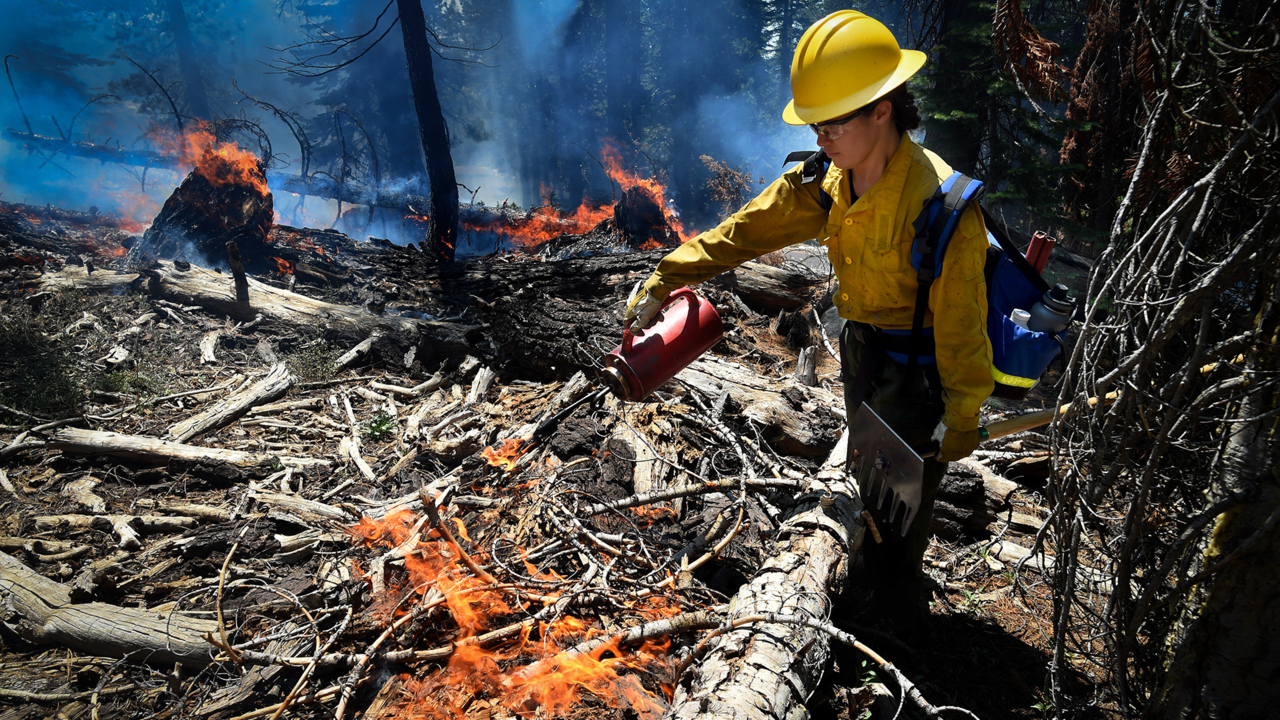 ‘A man’s job?’ Yosemite-based program recruits women to become California firefighters