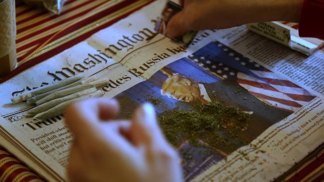 Marijuana activists prepare their pot protest at Trump's inauguration