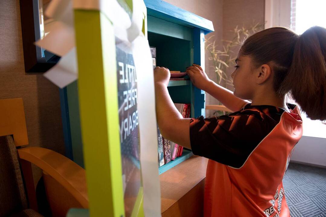 Book exchange boxes are promoted as one way to improve literacy among children