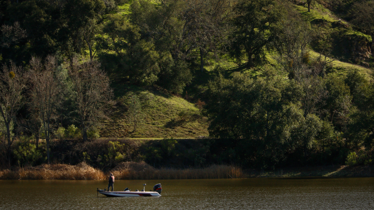 The yearly rainfall results are in. How much precipitation fell on the Central Coast