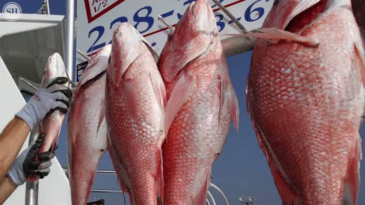 Preserve the laws that protect fish