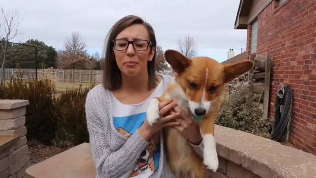 VIDEO: Dog is popular on social media