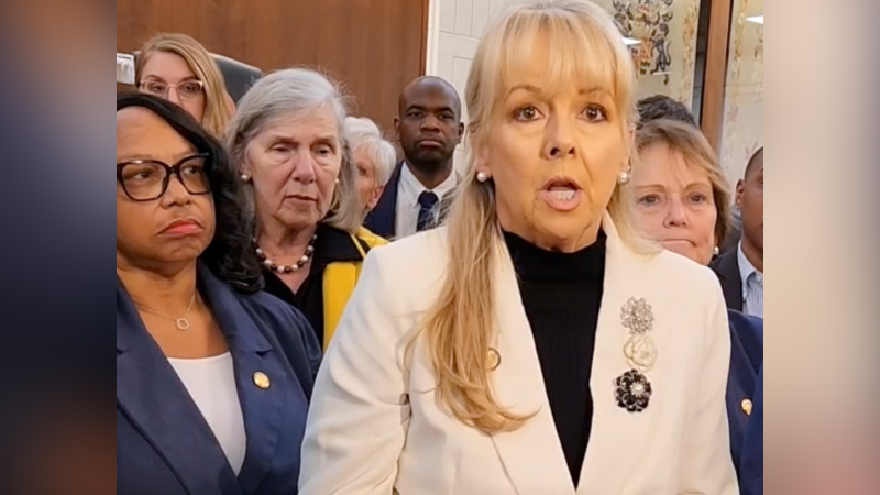 Democratic lawmaker condemns Border Patrol arrests as ‘racist, bigoted attack'