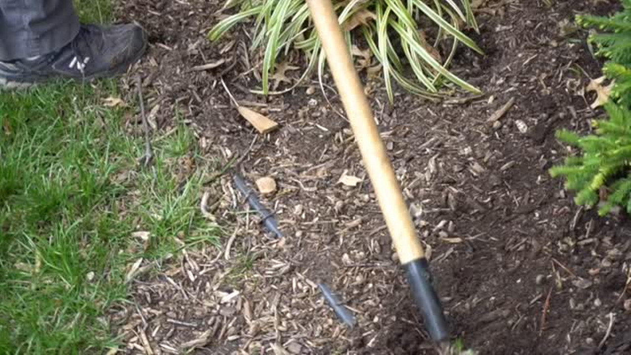 How to clean up a messy landscaping bed
