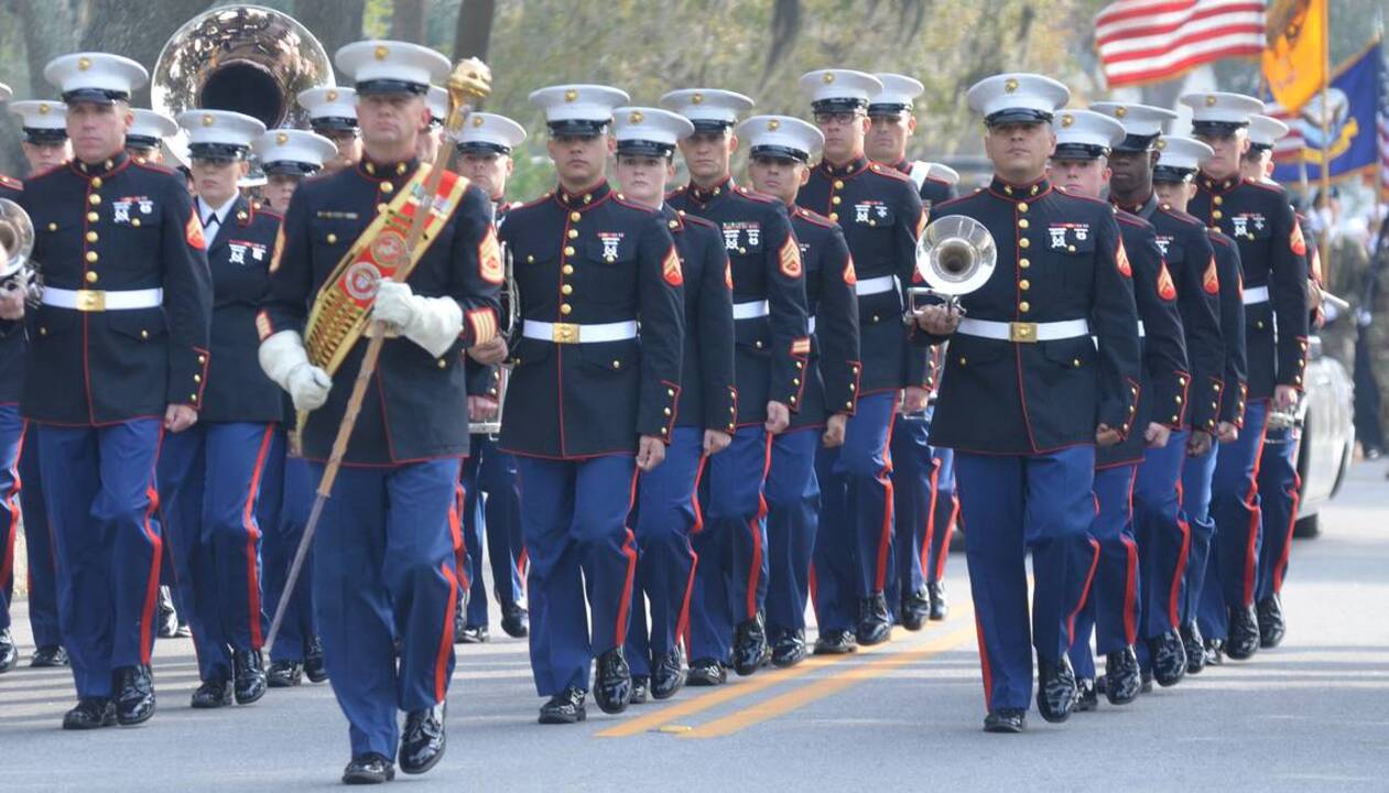 Local Veterans Day events