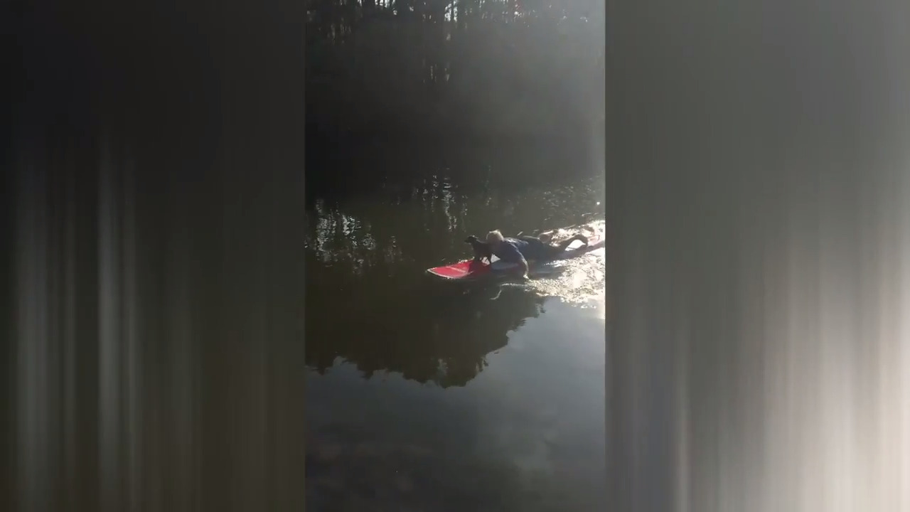 Police officer rescues dog stranded at dog park