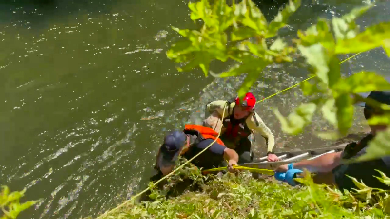 Man rescued while clinging to edge of canal with his dog, Fresno Fire Dept. says