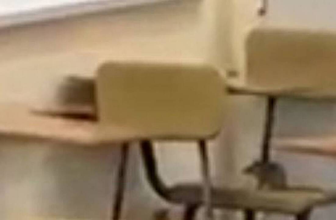 High school rat problem spurs teacher to take video – then take students elsewhere