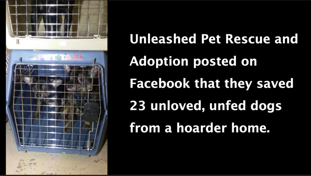 Animal group says rescue misrepresented condition of 50 dogs in Goddard house