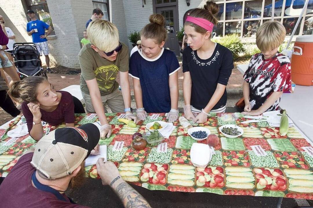Kid's Festival in Davidson