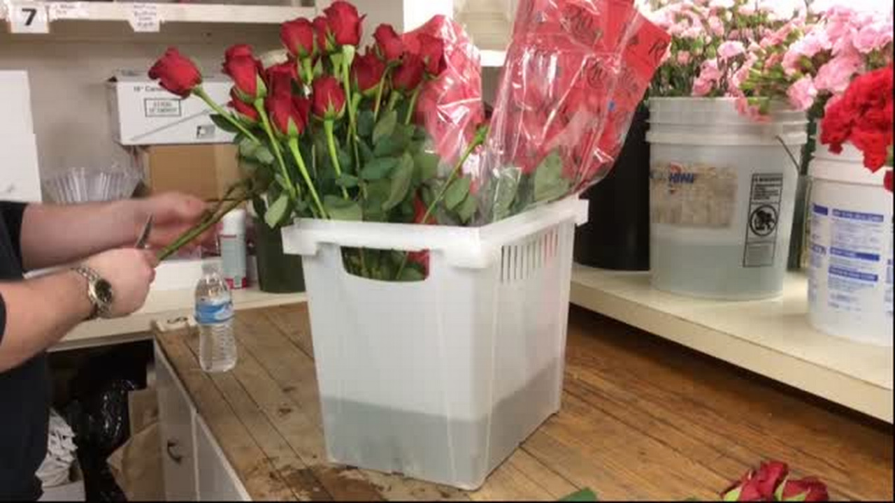 Make your Valentine's Day roses last longer than ever