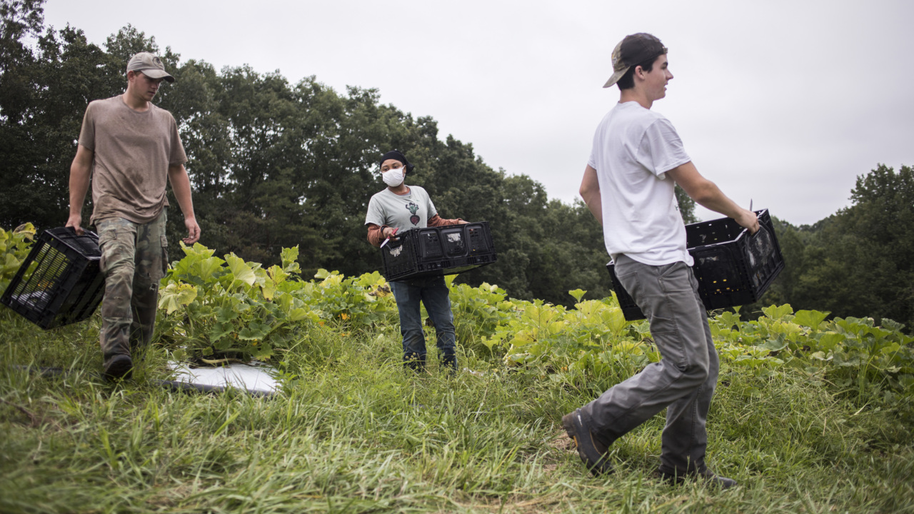 Cable companies blocked municipal broadband in NC and left a gap. Let others fill it.