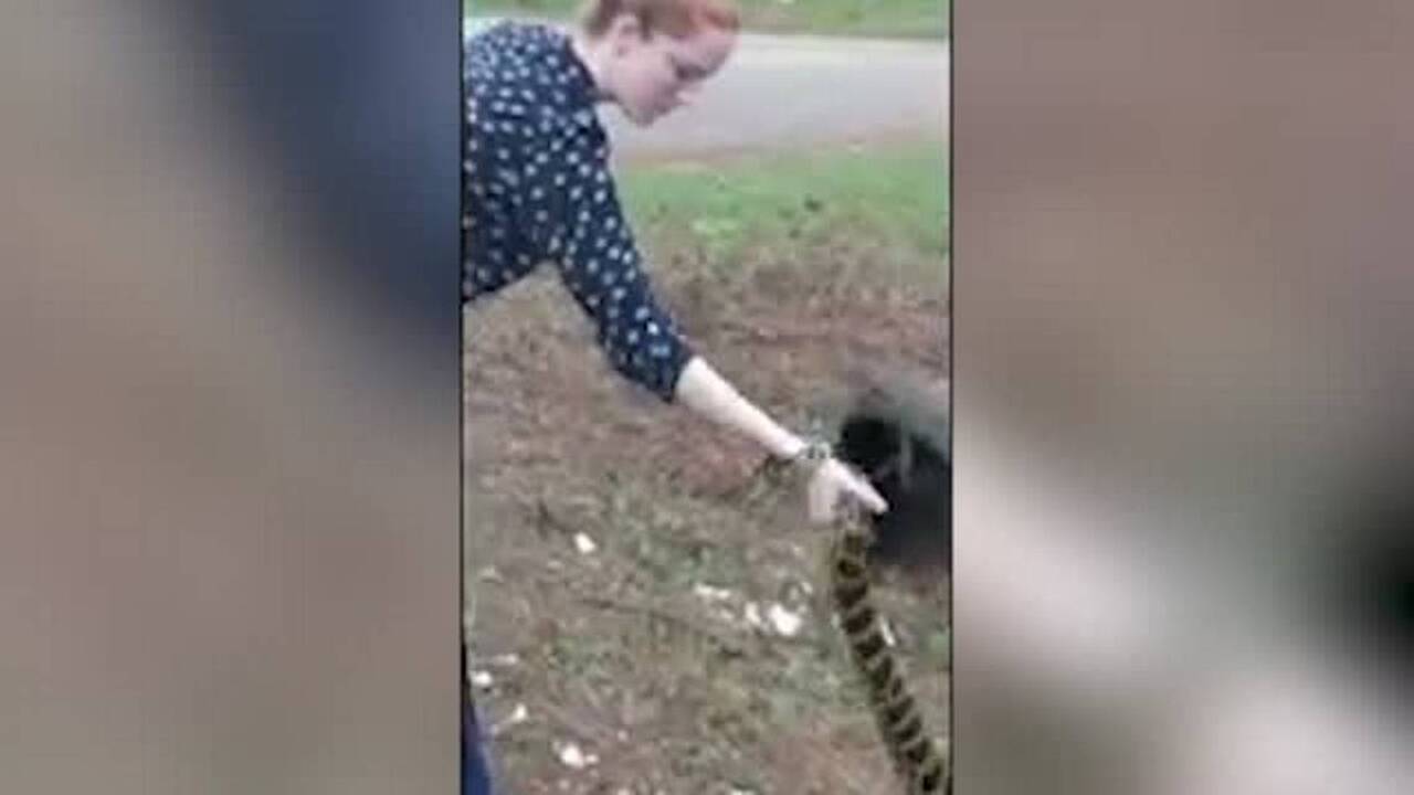 'Estás loca, chica', mujer policía captura con la mano a serpiente anaconda