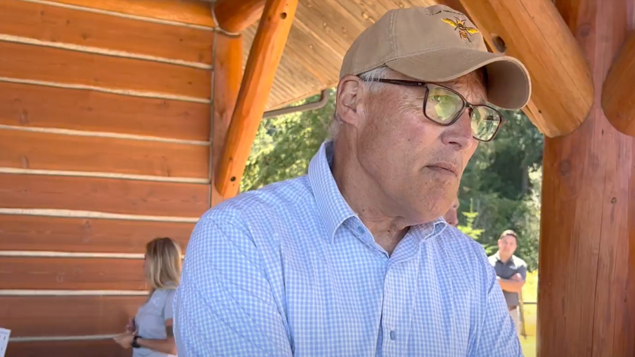 Washington Gov. Jay Inslee discusses Asian giant hornets’ impact