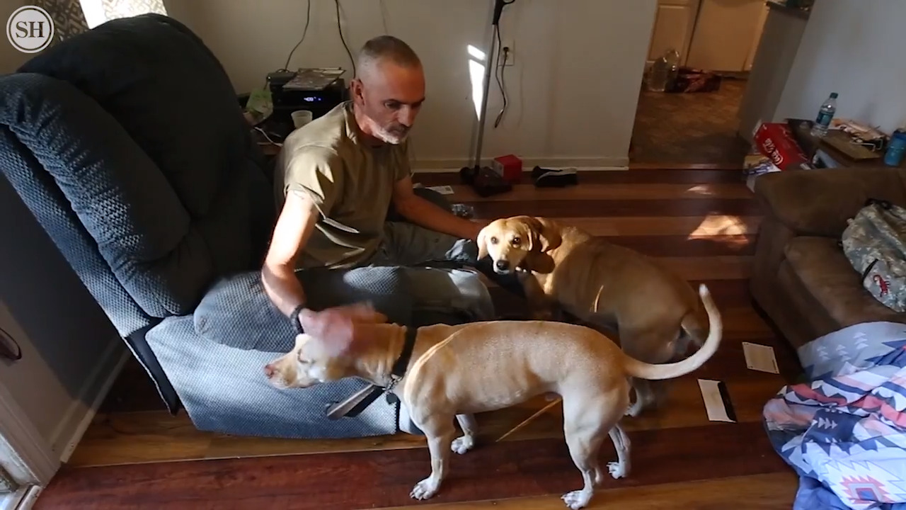 Service dogs help keep veteran with PTSD calm