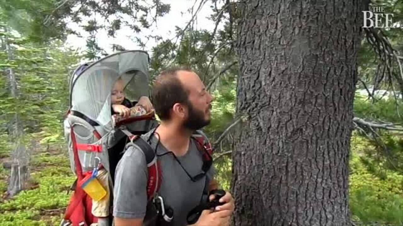 This couple took their 11-month-old camping for 12 days. Would you?