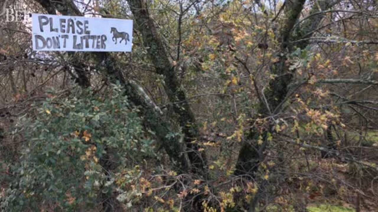 City wants to limit access to parts of Del Paso Regional Park