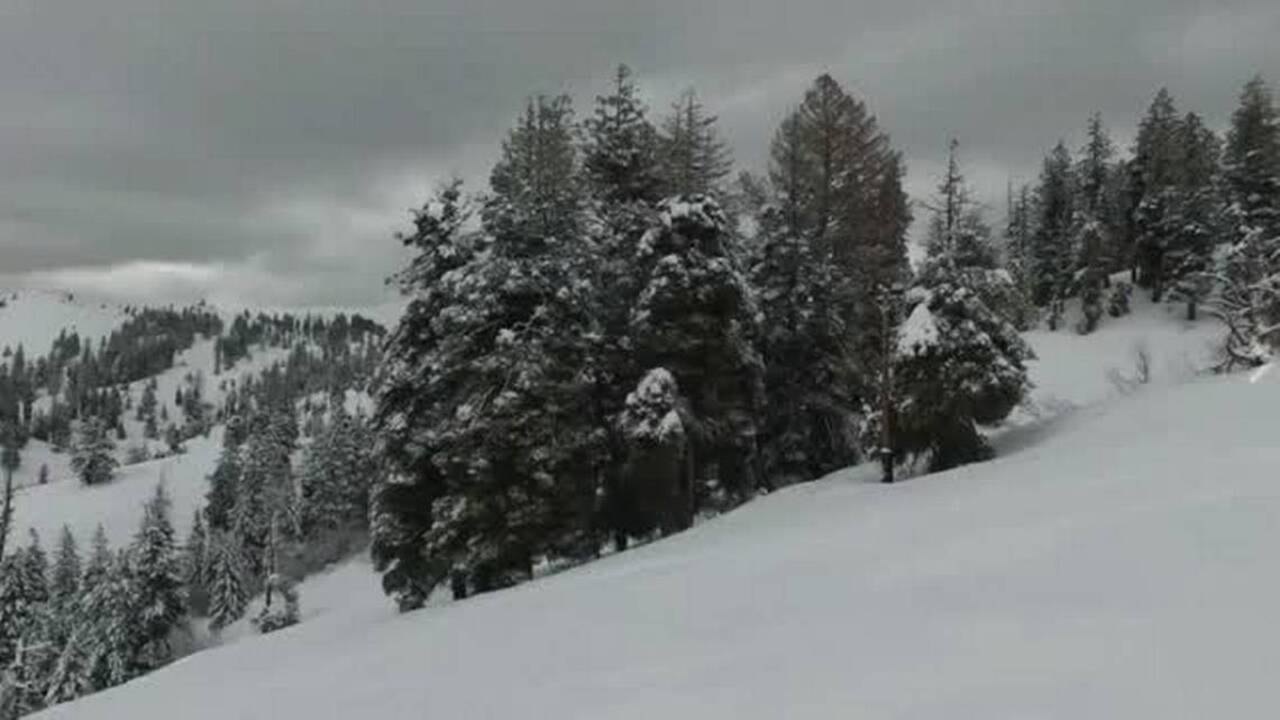 Check out the conditions at Bogus Basin this week