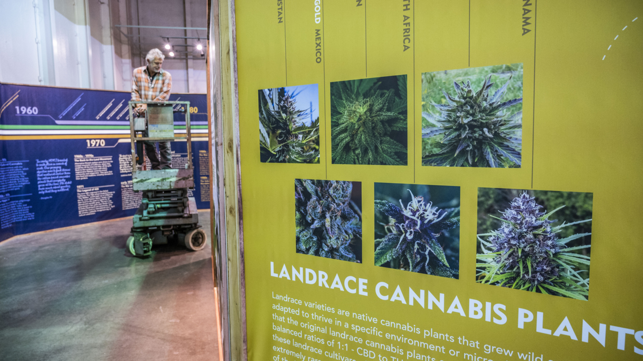 ‘This is historic.’ See what it means for cannabis to be accepted at California State Fair