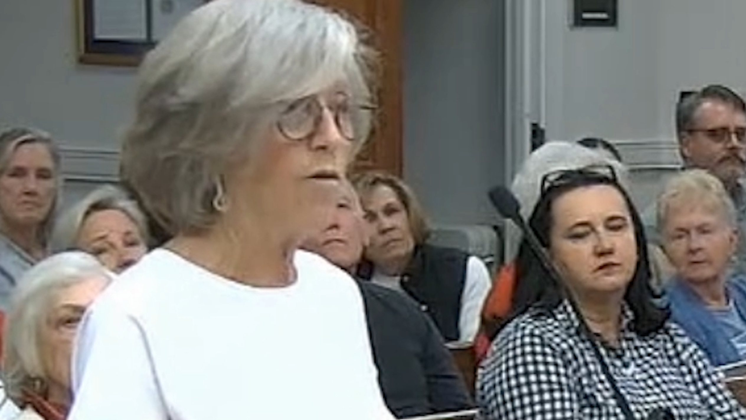 Beaufort City Council gets earful after a vote to allow STRs in antebellum district