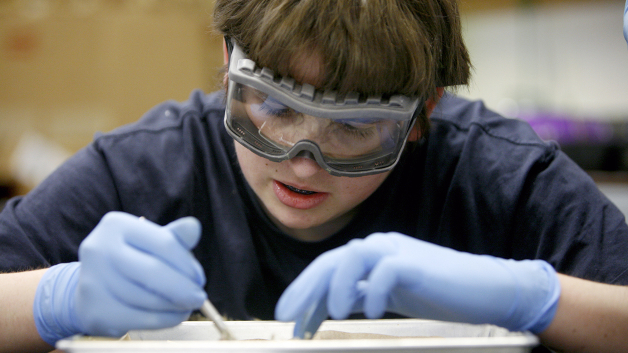 NC board rejects a proposed Wake charter school and orders a Chatham school to close