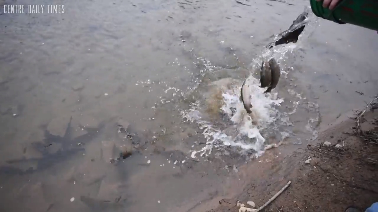 As weather patterns trend wetter in central Pa., how could fish and streams be affected?