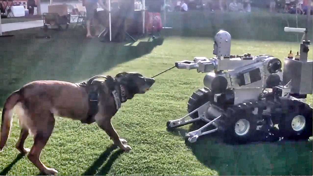 Friendly tug-of-war between police dog and bomb robot