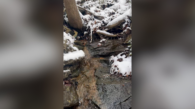 Eastern and South Central Kentucky's temperatures wreaked havoc on power infrastructure