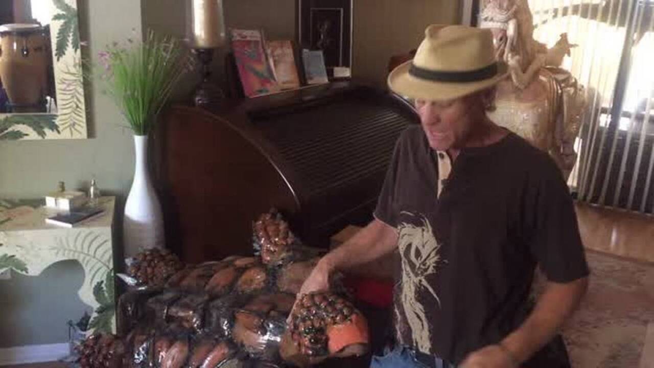 Manatee County artist finds his passion in palm fronds