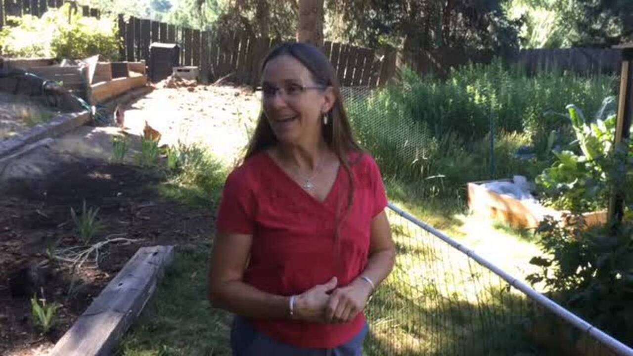 Dig In video series: Gardeners use raised beds to bypass root, weed and soil issues