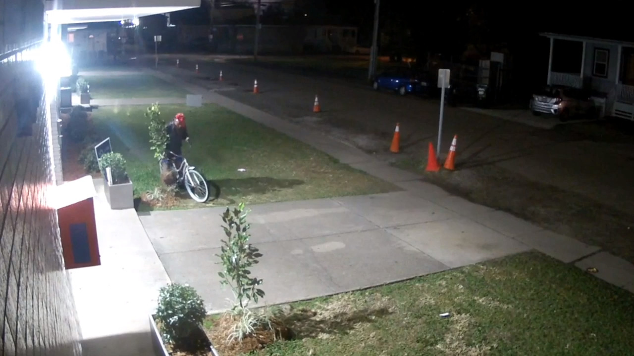 Man on bicycle steals tree