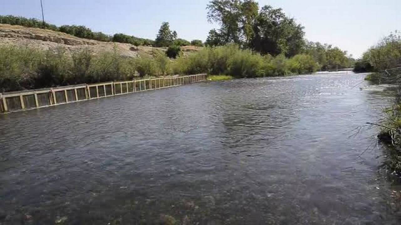 From 2015: Salmon restoration on the San Joaquin River 