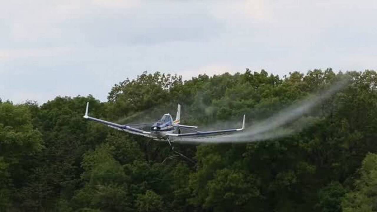 What it's like to fly a crop duster
