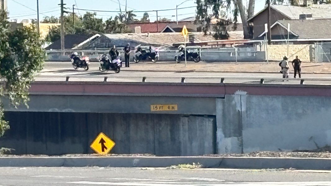 Juvenile killed by vehicle on Fresno highway offramp (Video) | Fresno Bee