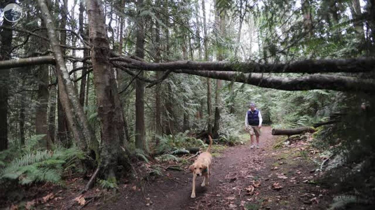 Five facts about the Greenways IV levy