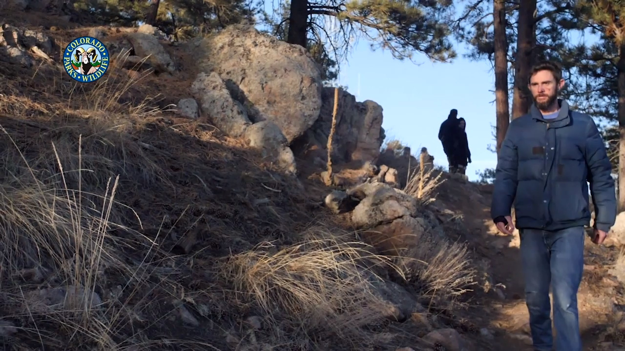 Colorado man recounts killing mountain lion with his bare hands