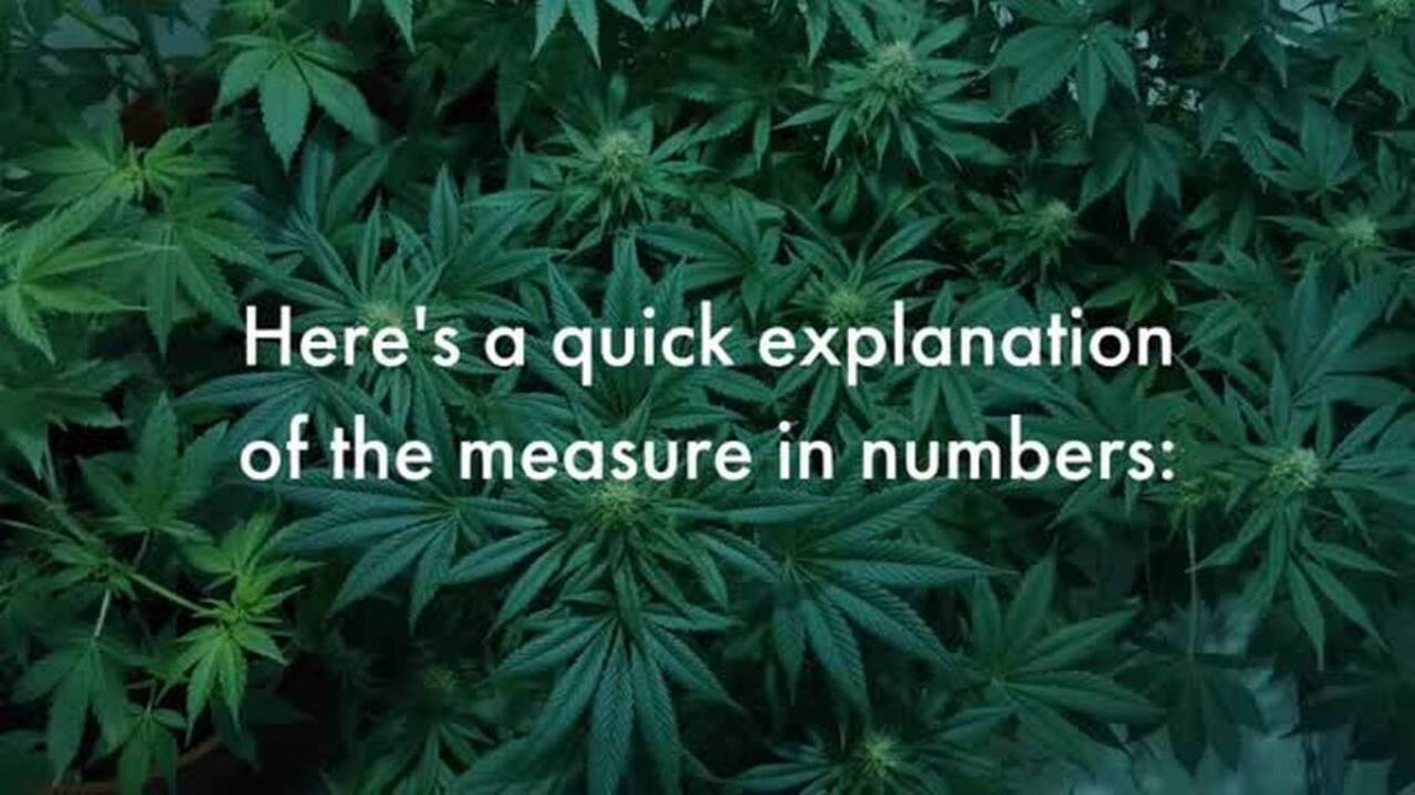 Grover Beach's marijuana tax by the numbers