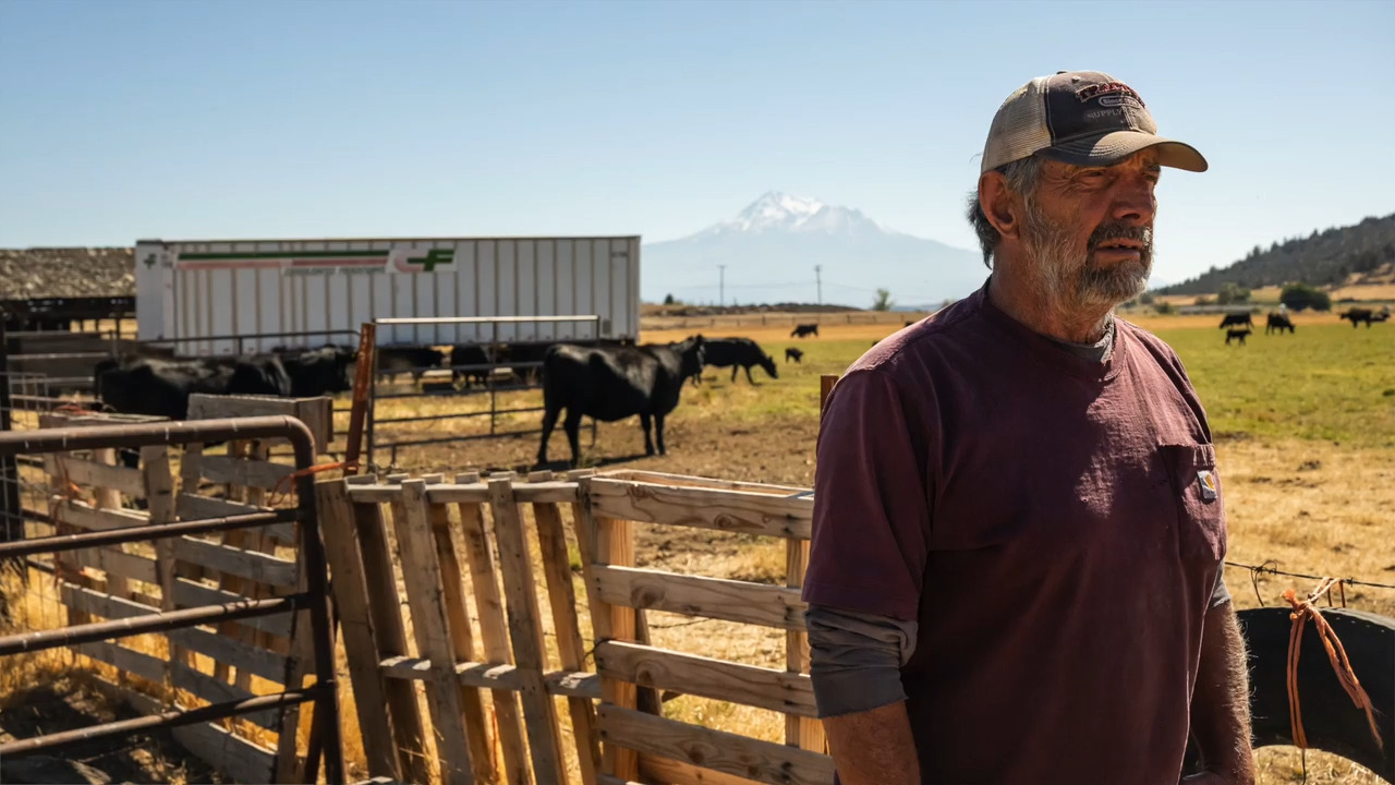 ‘100 years in the making.’ Northern California farmers say water regulations not working