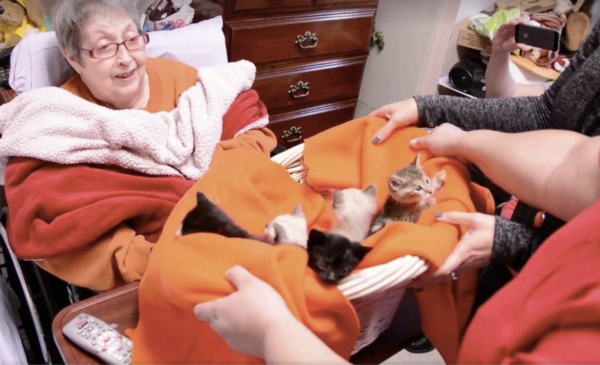 Great Plains SPCA took a basket of kittens to visit a woman in hospice care