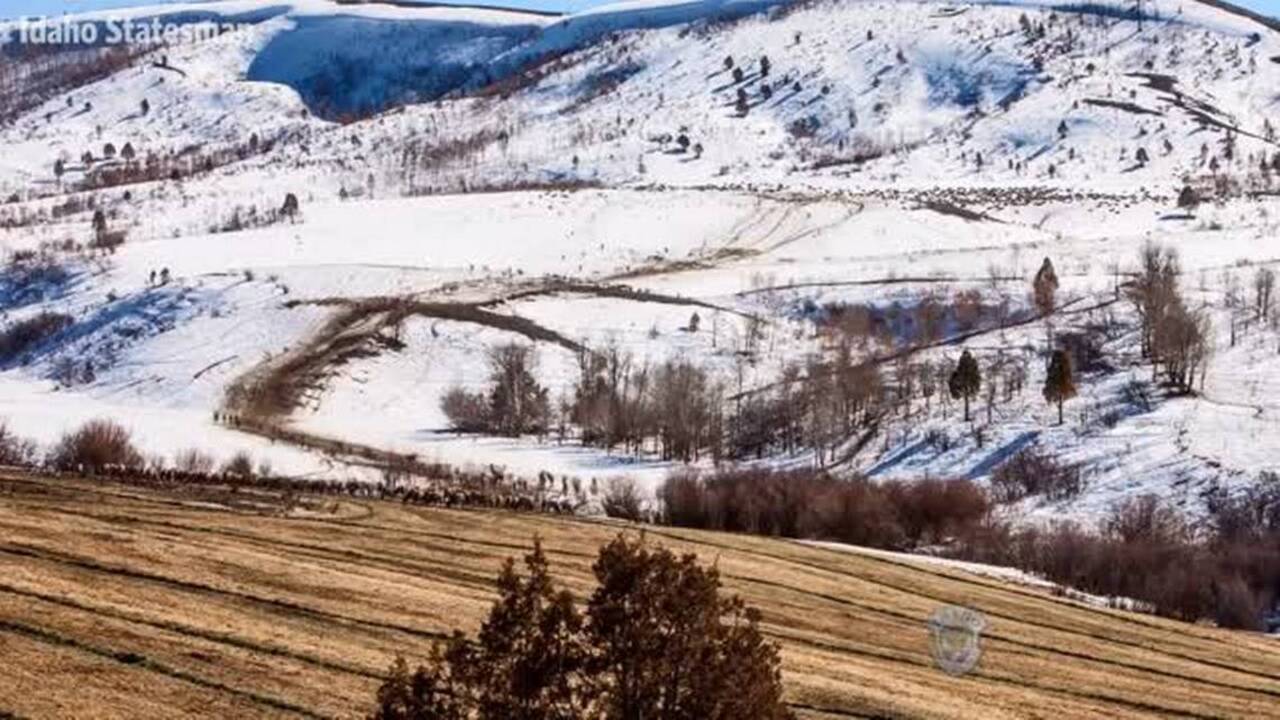 Idaho hunters, anglers will pay new fee on licenses beginning May 1