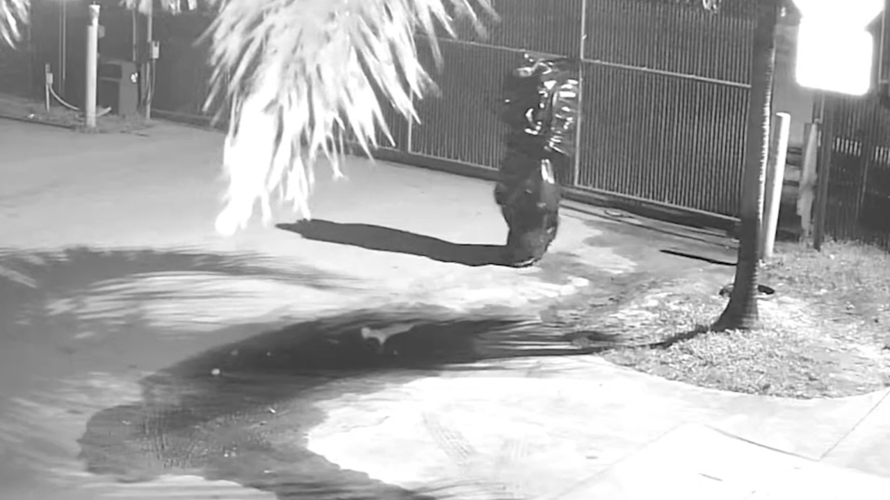 Watch a man in a garbage bag ‘suit’ set fire to garbage trucks at Broward waste center