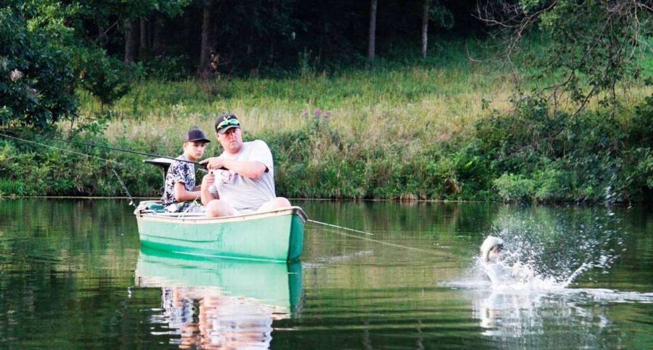With heat easing, shad and rainbow trout are getting better reports
