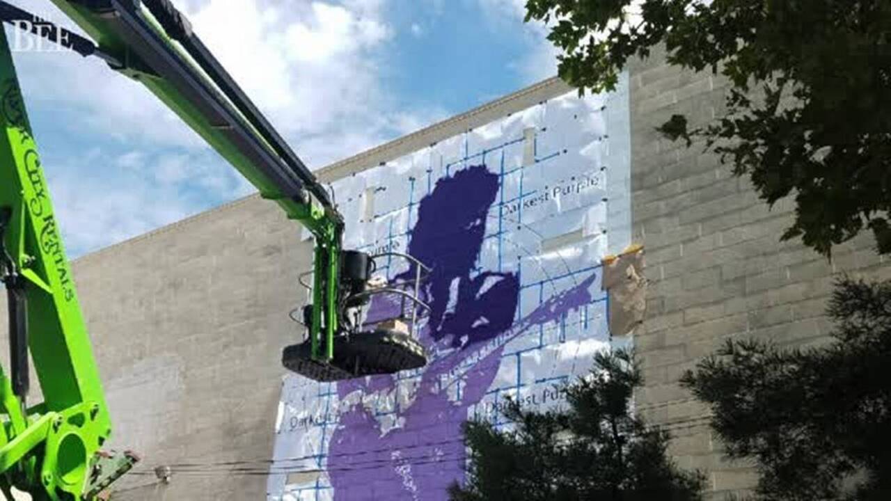 Sacramento artist creates huge mural of Prince on 20th and O streets
