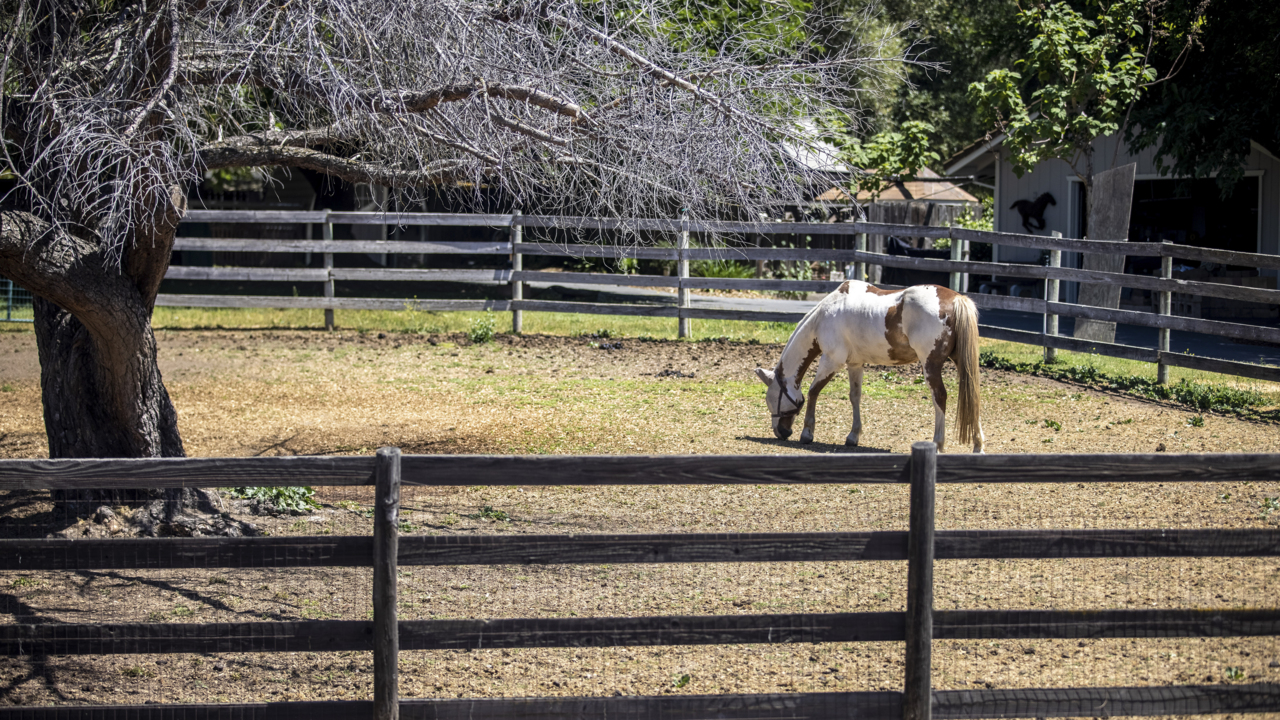 Where suburbia meets the country: The Sacramento region’s unlikely real estate hot spot