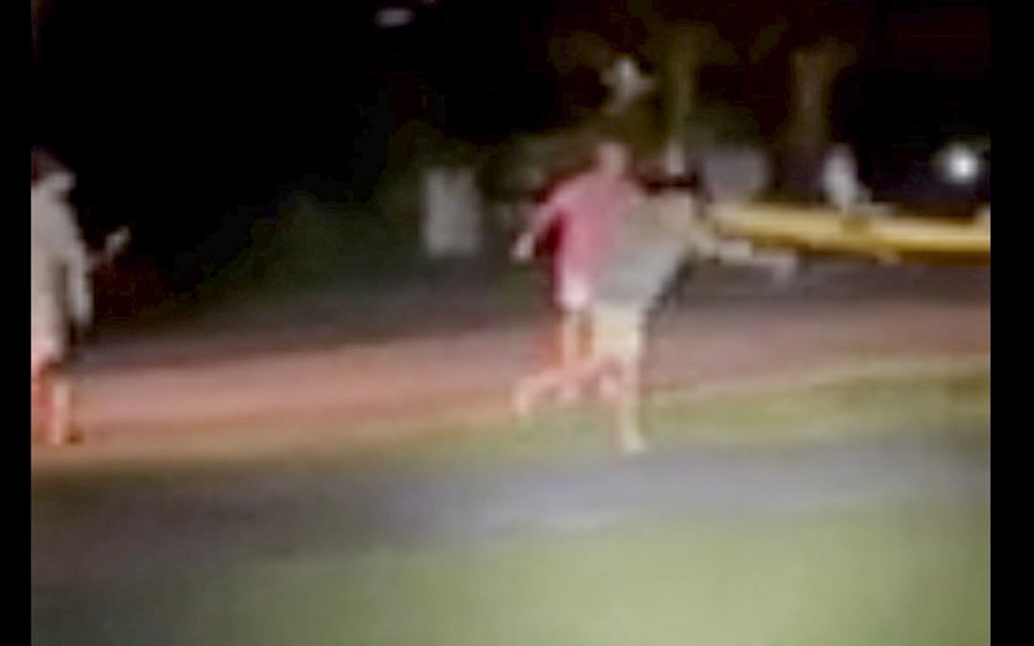 Video shows group on Fripp Island torment, throw alligator