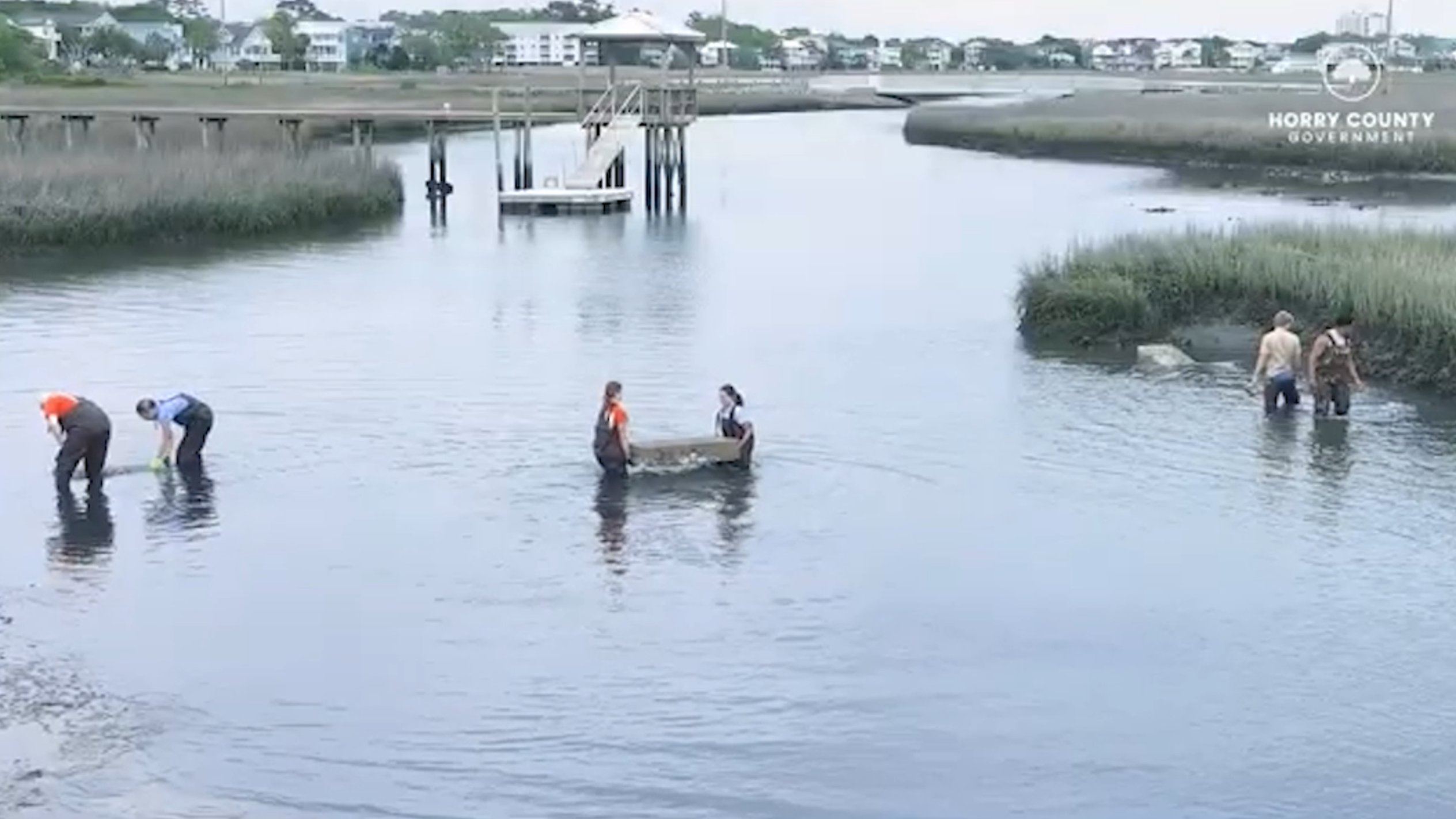 Horry County uses oyster shells for coastal conservation